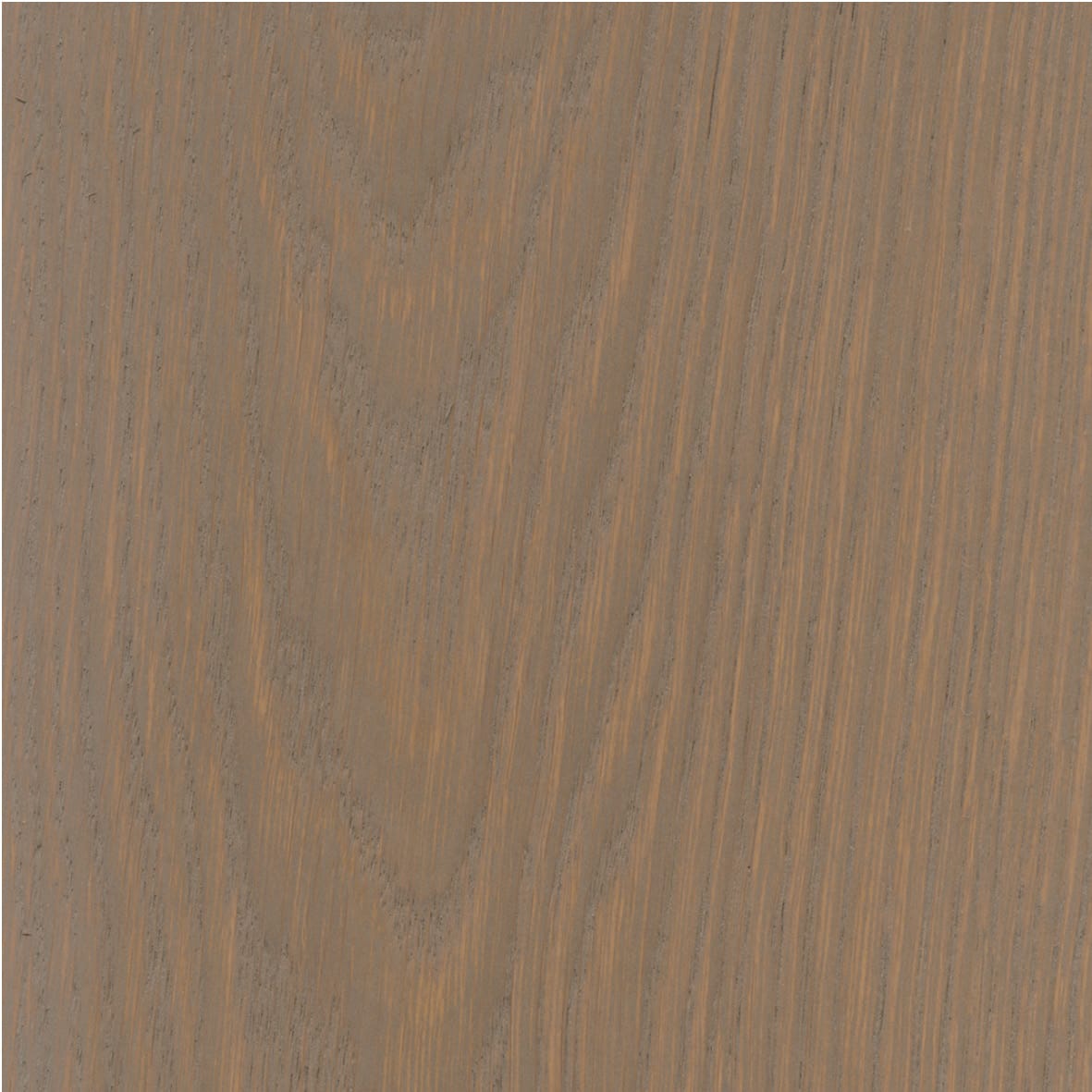 Project Oil - Image 4