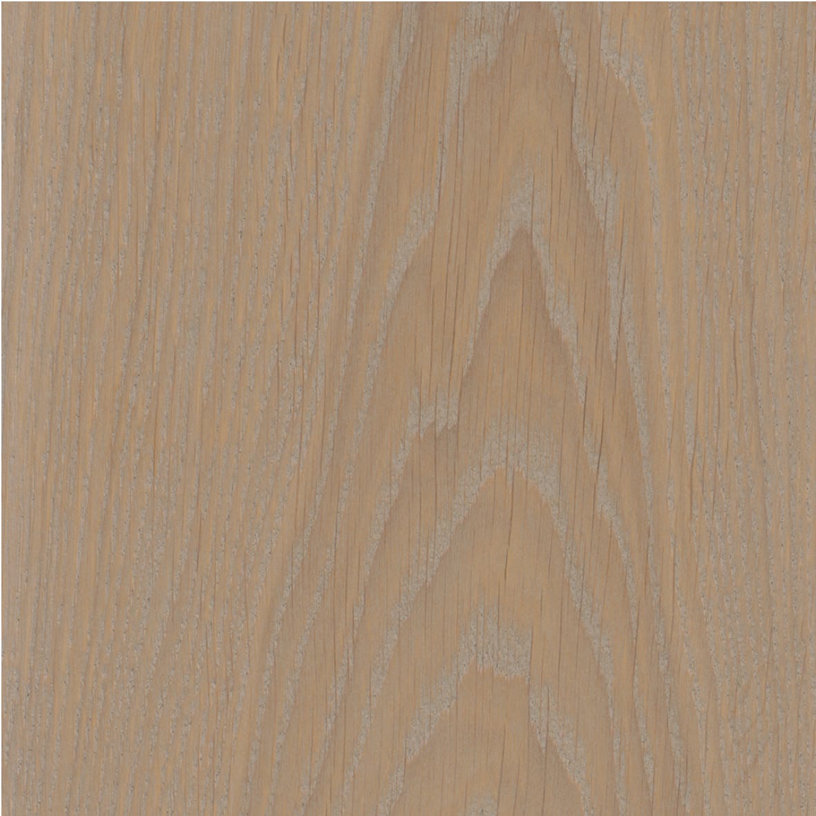 Project Oil - Image 3