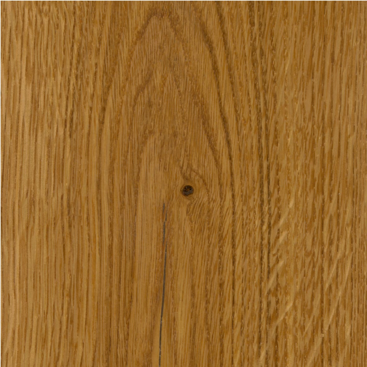 Project Oil - Image 7