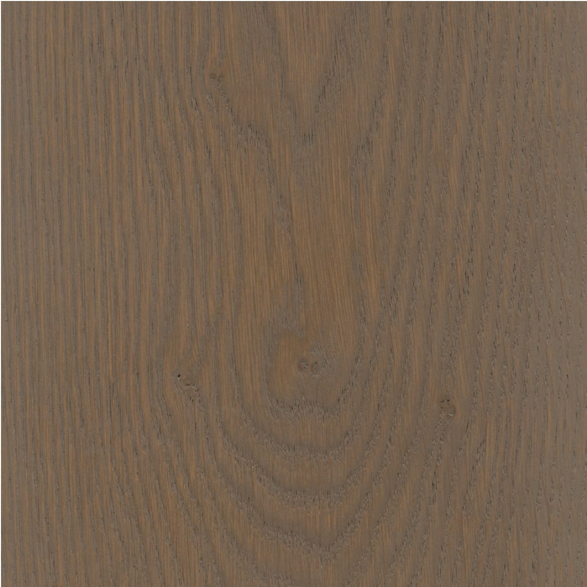 Project Oil - Image 2