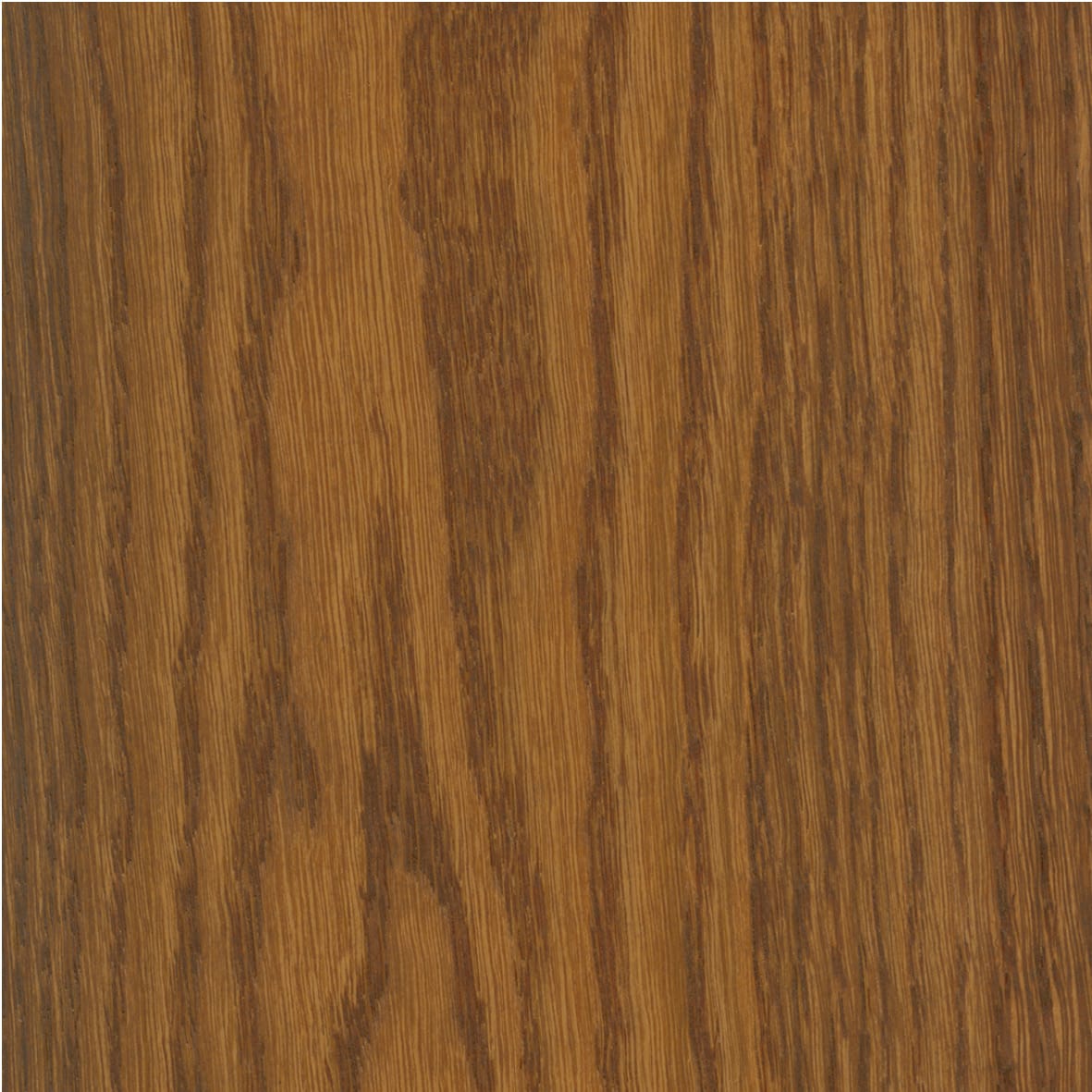 Project Oil - Image 6